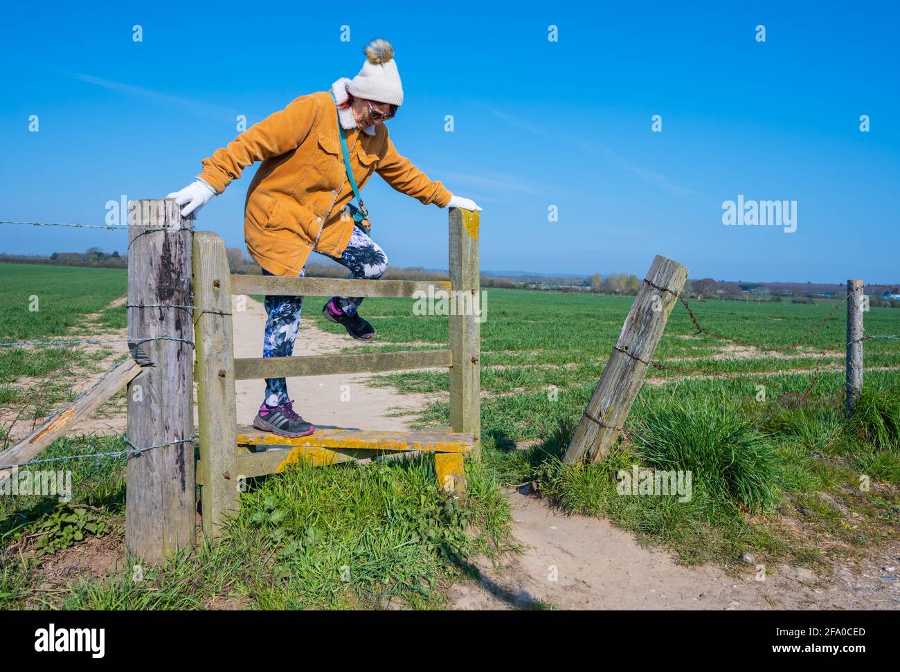 Ältere oder ältere Dame in Hut und Mantel, die im Frühjahr in West Sussex, England, Großbritannien, durch Felder geht und über einen Holzstile klettert. Stockfoto