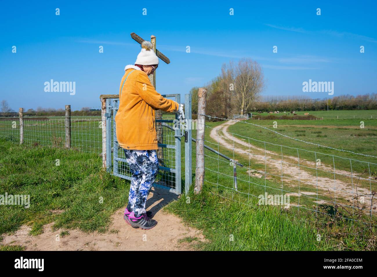 Ältere oder ältere Dame in Hut und Mantel, die im Frühjahr durch Felder und durch ein Landtor in West Sussex, England, Großbritannien, geht. Stockfoto