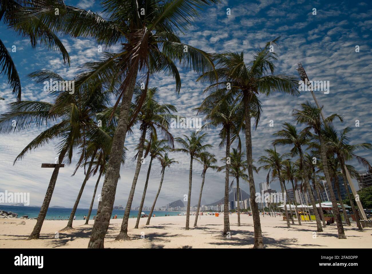 Kokospalmen in Cocoba Beach Rio de Janeiro Brasilien. Stockfoto