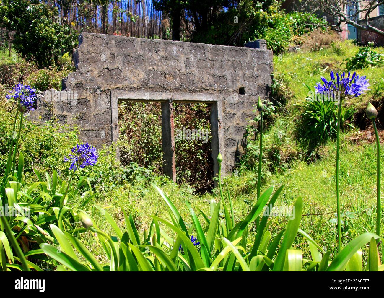 Ruin, Pailheiro auf der Insel Madeira Stockfoto