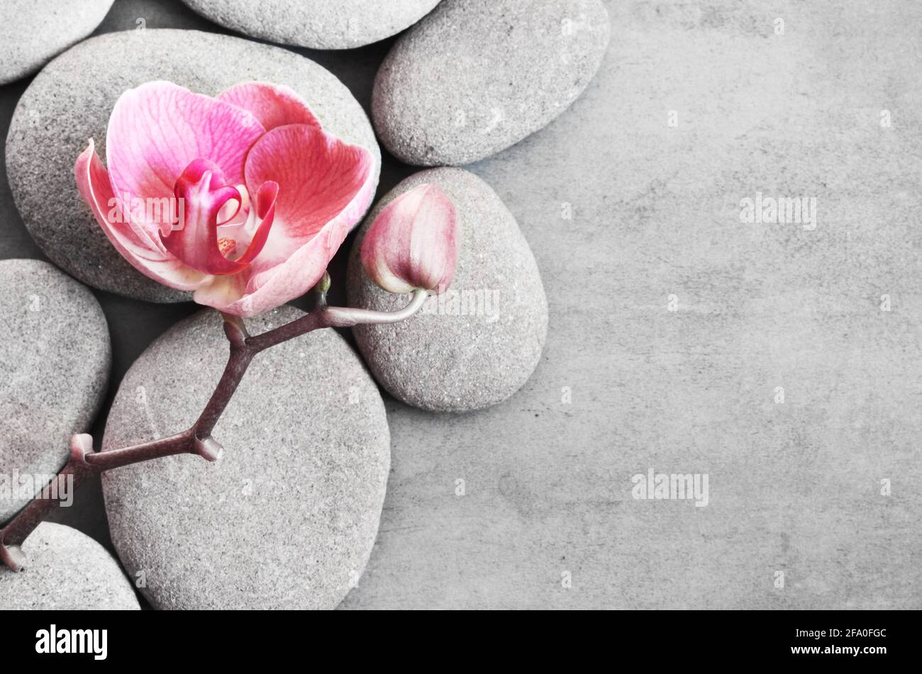 Spa-Steine und rosa Orchidee auf dem grauen Hintergrund. Stockfoto