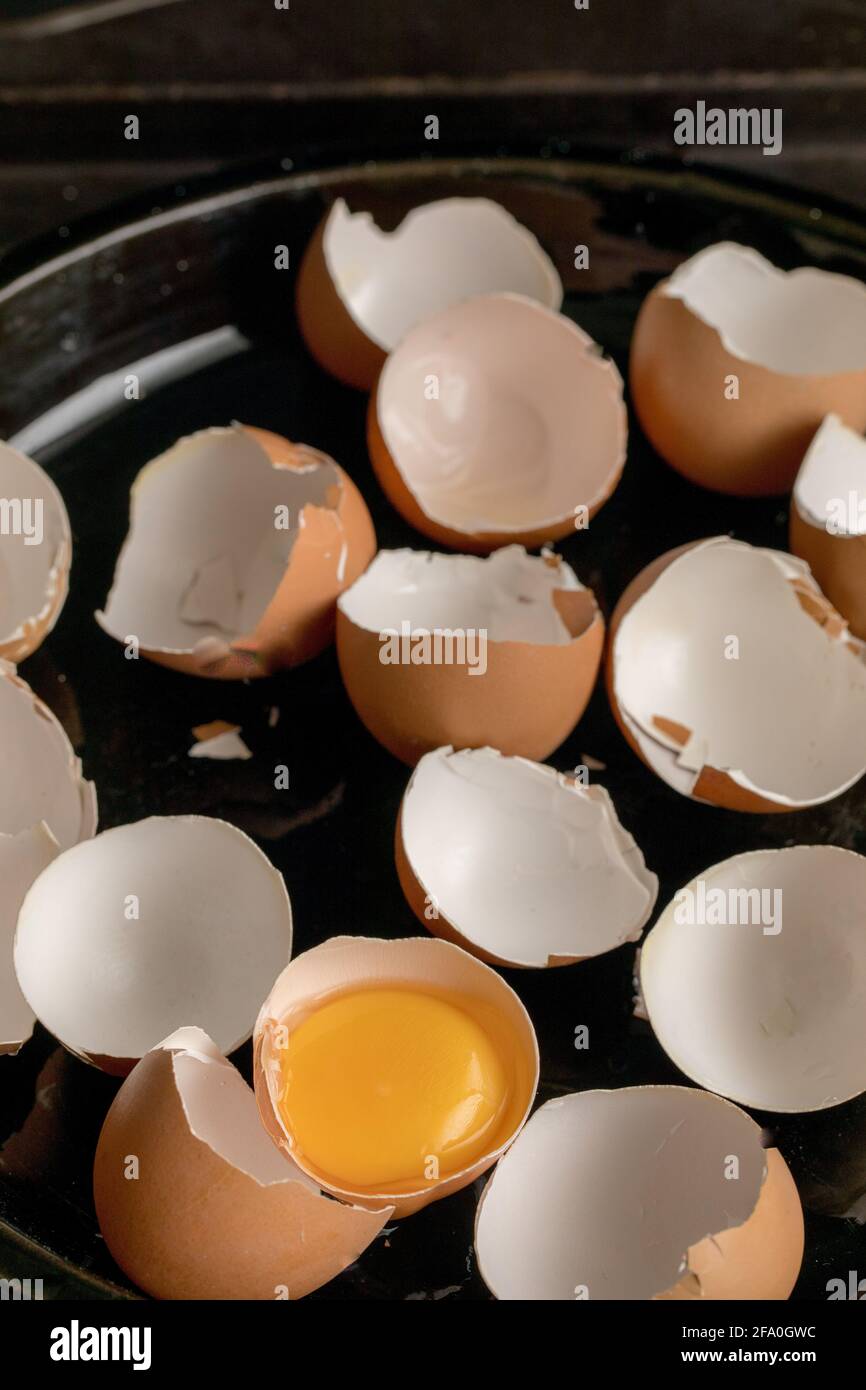 Zerbrochene Eier auf einem Teller, leere Eierschalen, ein gelbes Eigelb noch in der halben Schale Stockfoto