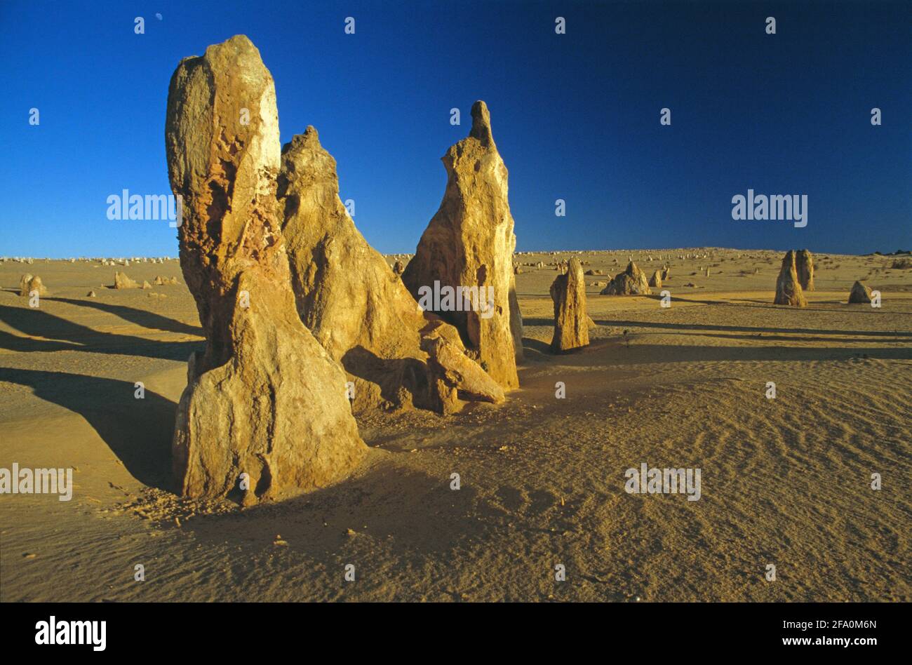 Westaustralien. Neue Wüstenszene in der Region Norcia. Die Pinnacles. Stockfoto