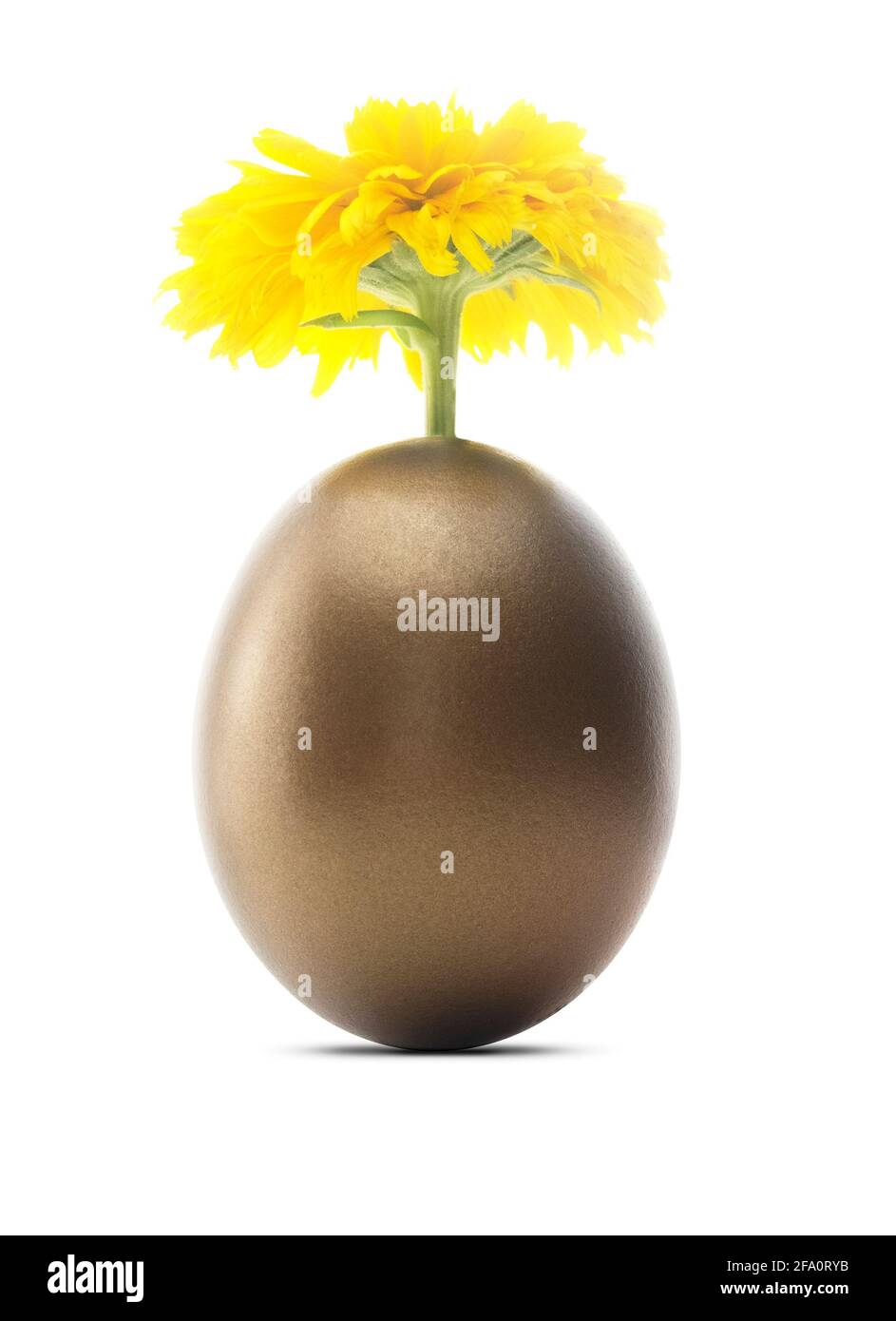 Wachstum Der Investitionen In Nest Egg. Isoliertes goldenes Ei mit gelber Blume. Stockfoto