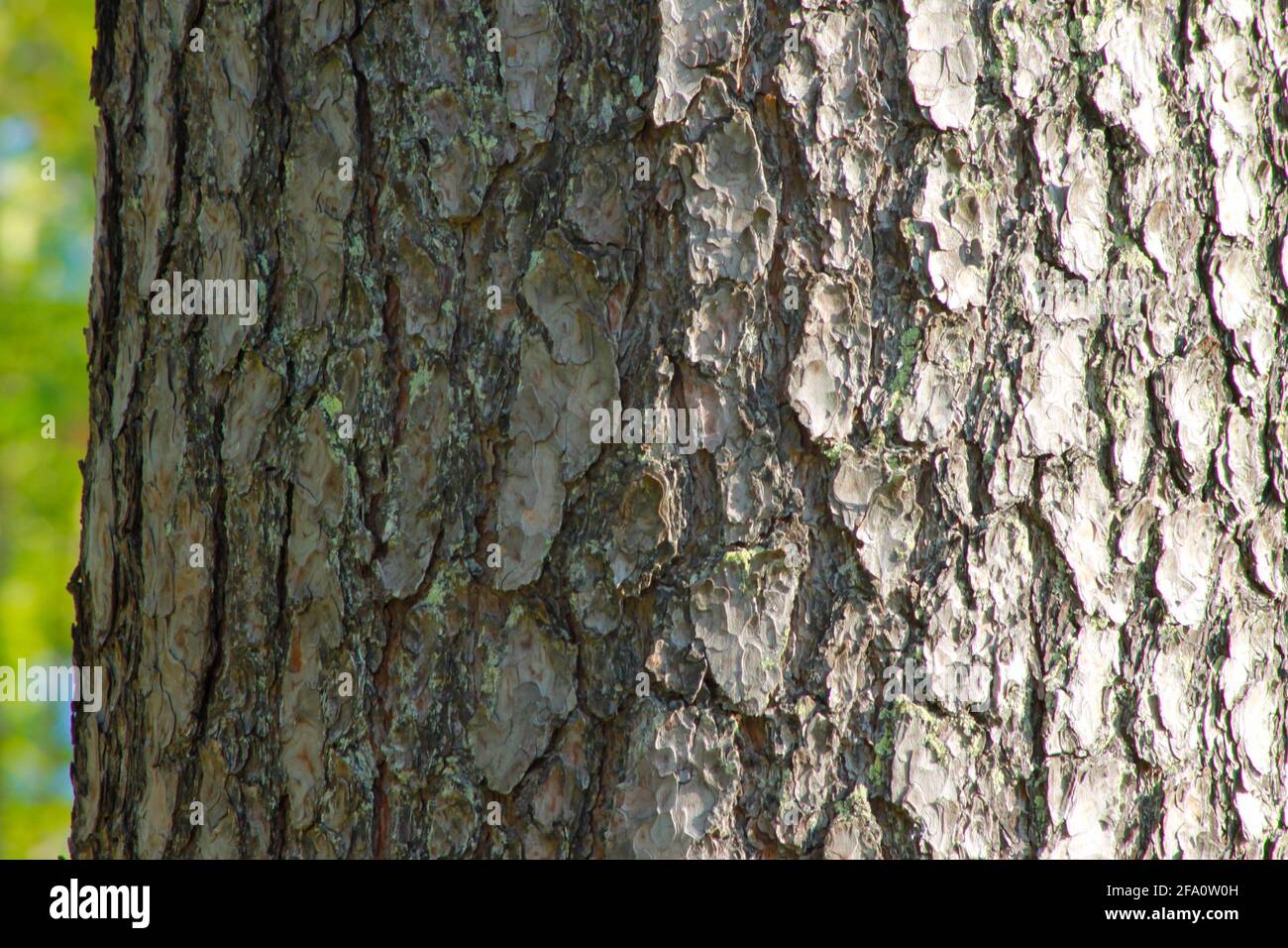 Einfacher strukturierter Hintergrund Stockfoto