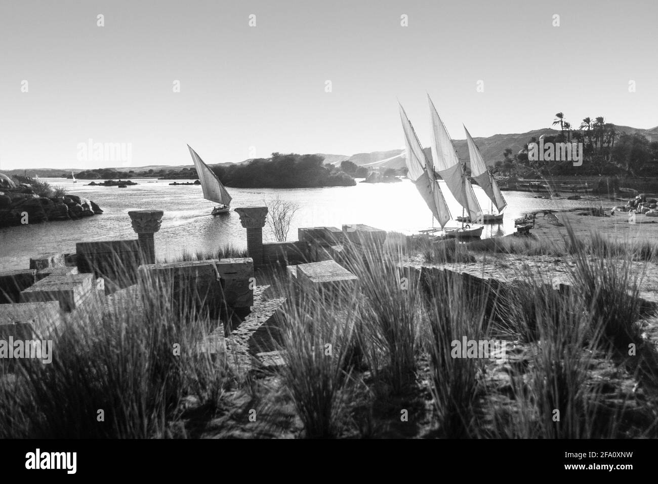 Silhouette von Felucca-Booten auf dem Nil, Assuan Ägypten Stockfoto