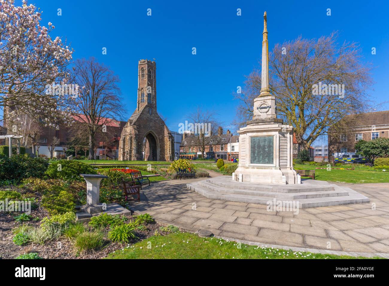 Blick auf den Greyfriars Tower, Kriegsdenkmal und Frühlingsblüten in Tower Gardens, King's Lynn, Norfolk, England, Vereinigtes Königreich, Europa Stockfoto