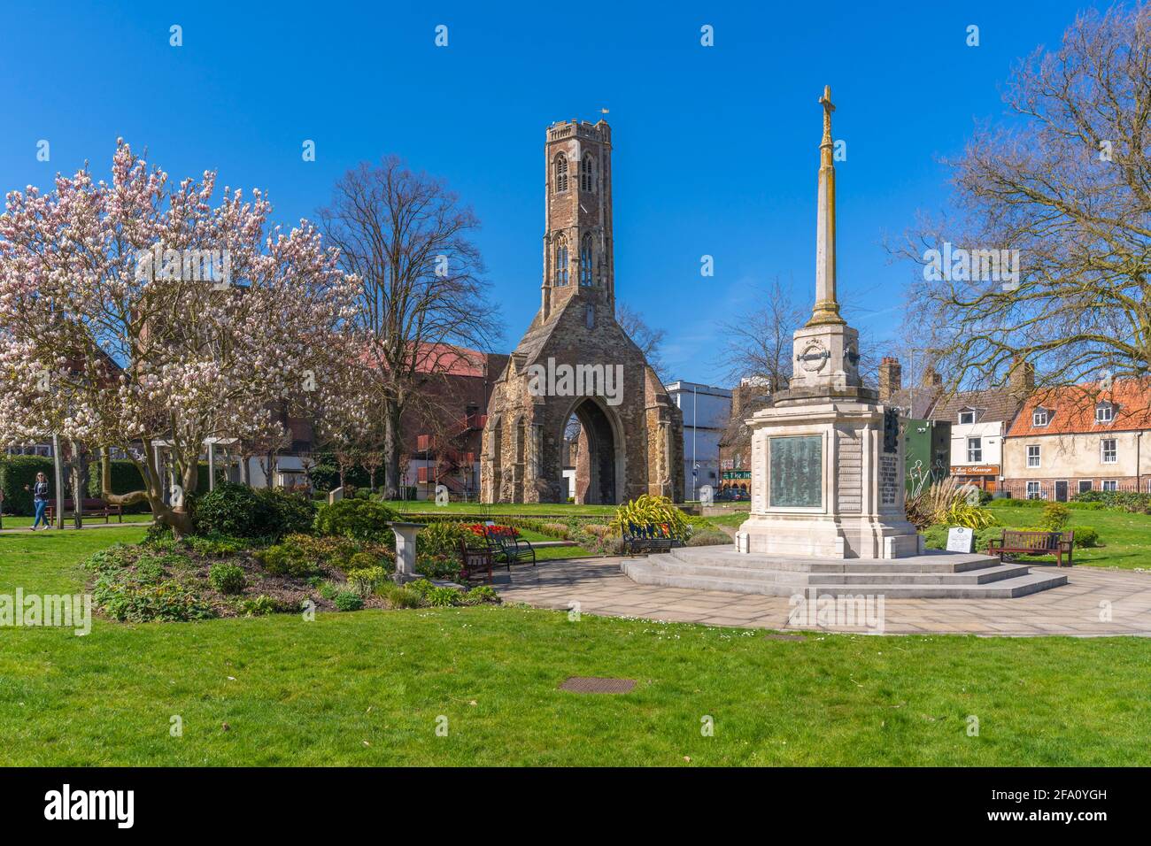 Blick auf den Greyfriars Tower, Kriegsdenkmal und Frühlingsblüten in Tower Gardens, King's Lynn, Norfolk, England, Vereinigtes Königreich, Europa Stockfoto