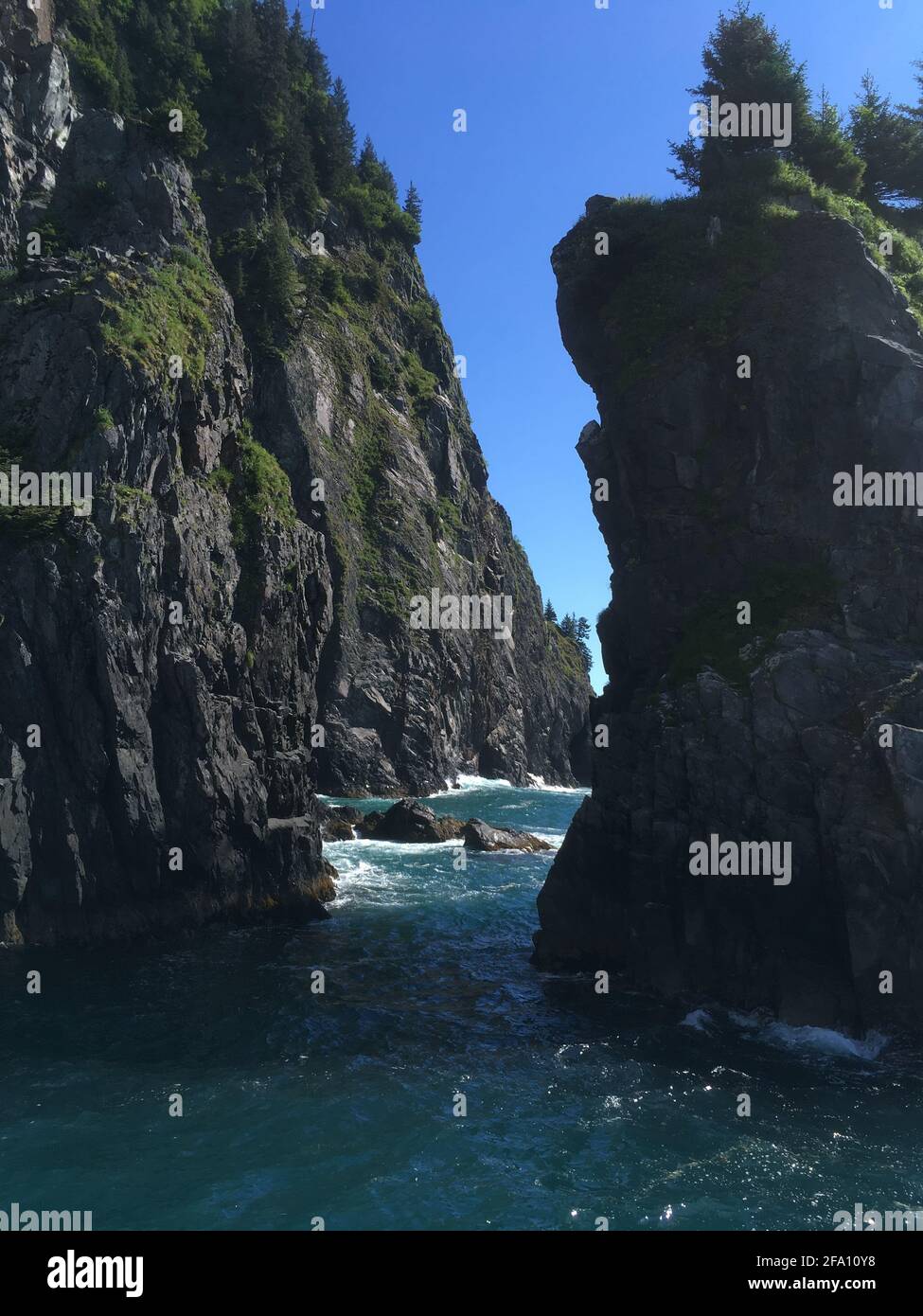 Kenai Fjords Stockfoto