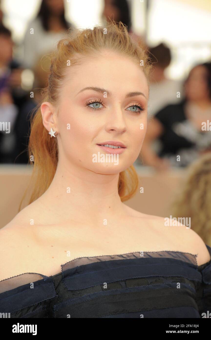 Ankunft der Sag Awards 2016 in Los Angeles, Kalifornien Stockfoto