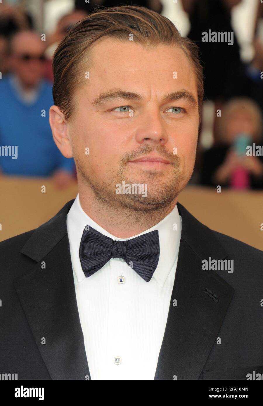 Ankunft der Sag Awards 2016 in Los Angeles, Kalifornien Stockfoto