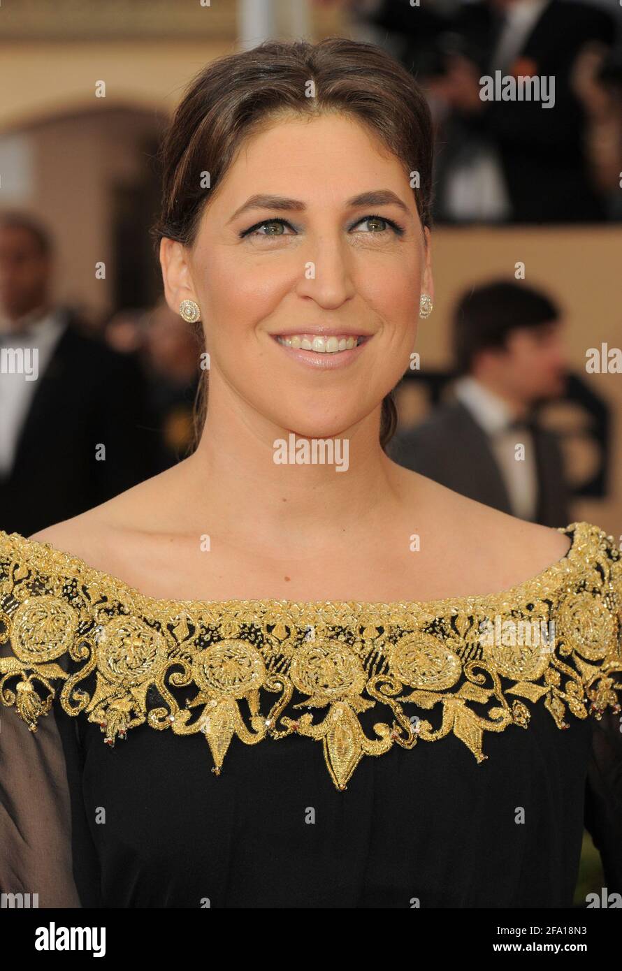 Ankunft der Sag Awards 2016 in Los Angeles, Kalifornien Stockfoto