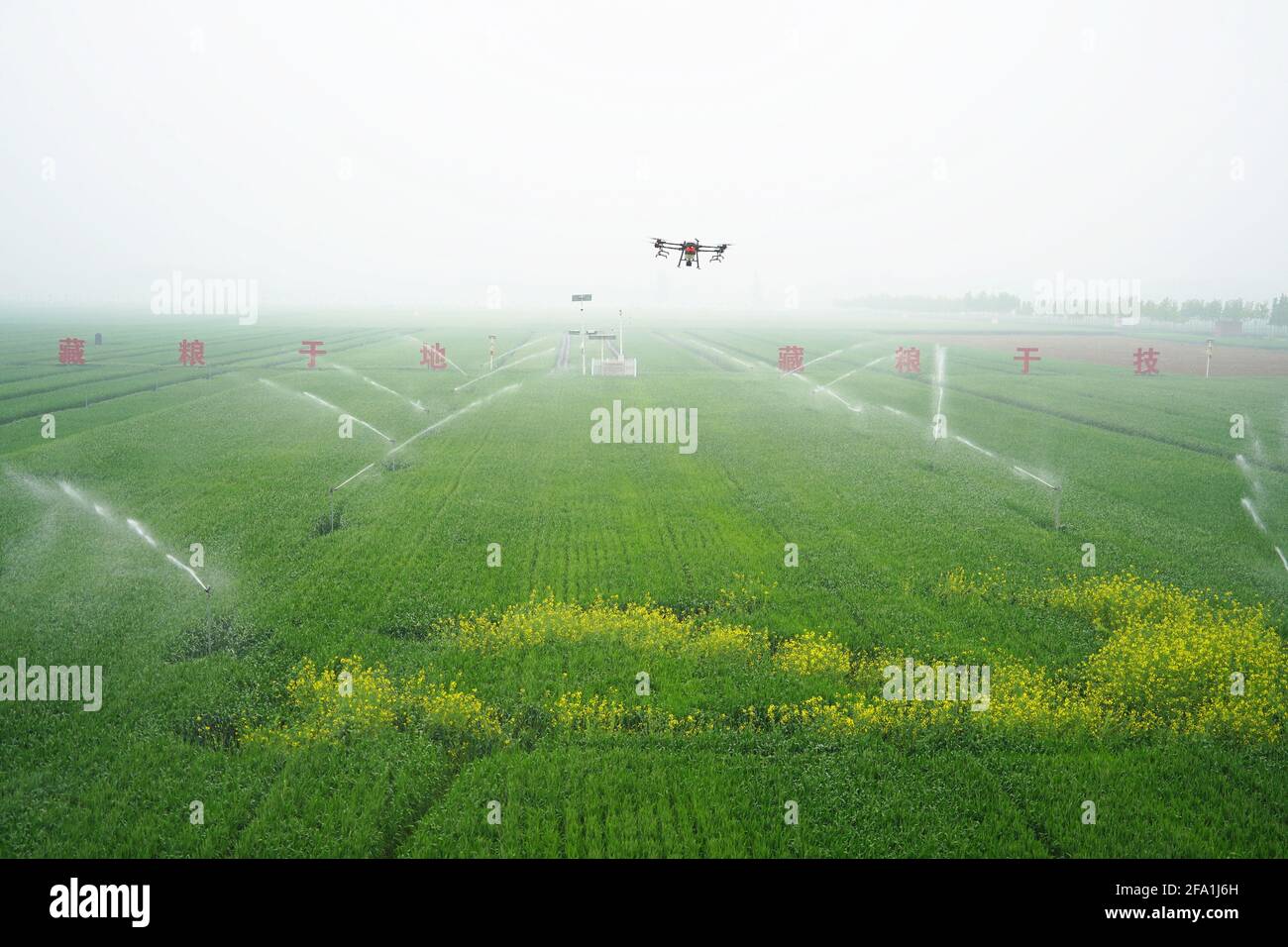 Weishi, China. April 2021. Die Agrartechnologie personnels bewirtschaften am 21. April 2021 in Weishi, Henan, China, mit intelligenter 5G-Landwirtschaftstechnologie.(Foto: TPG/cnsphotos) Quelle: TopPhoto/Alamy Live News Stockfoto