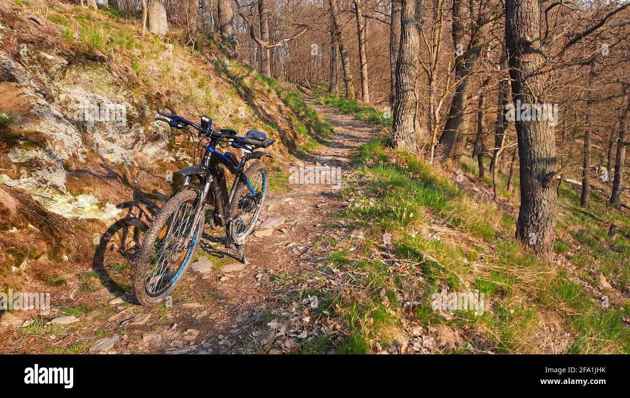 Mountainbike fahren in der Urlaubsregion Harz Selketal Stockfoto