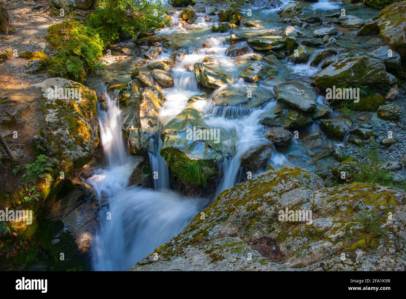 Flaches Flusswasser, das über felsiges Flussbett im malerischen neuseeländischen Wald plätschern und fallen. Stockfoto