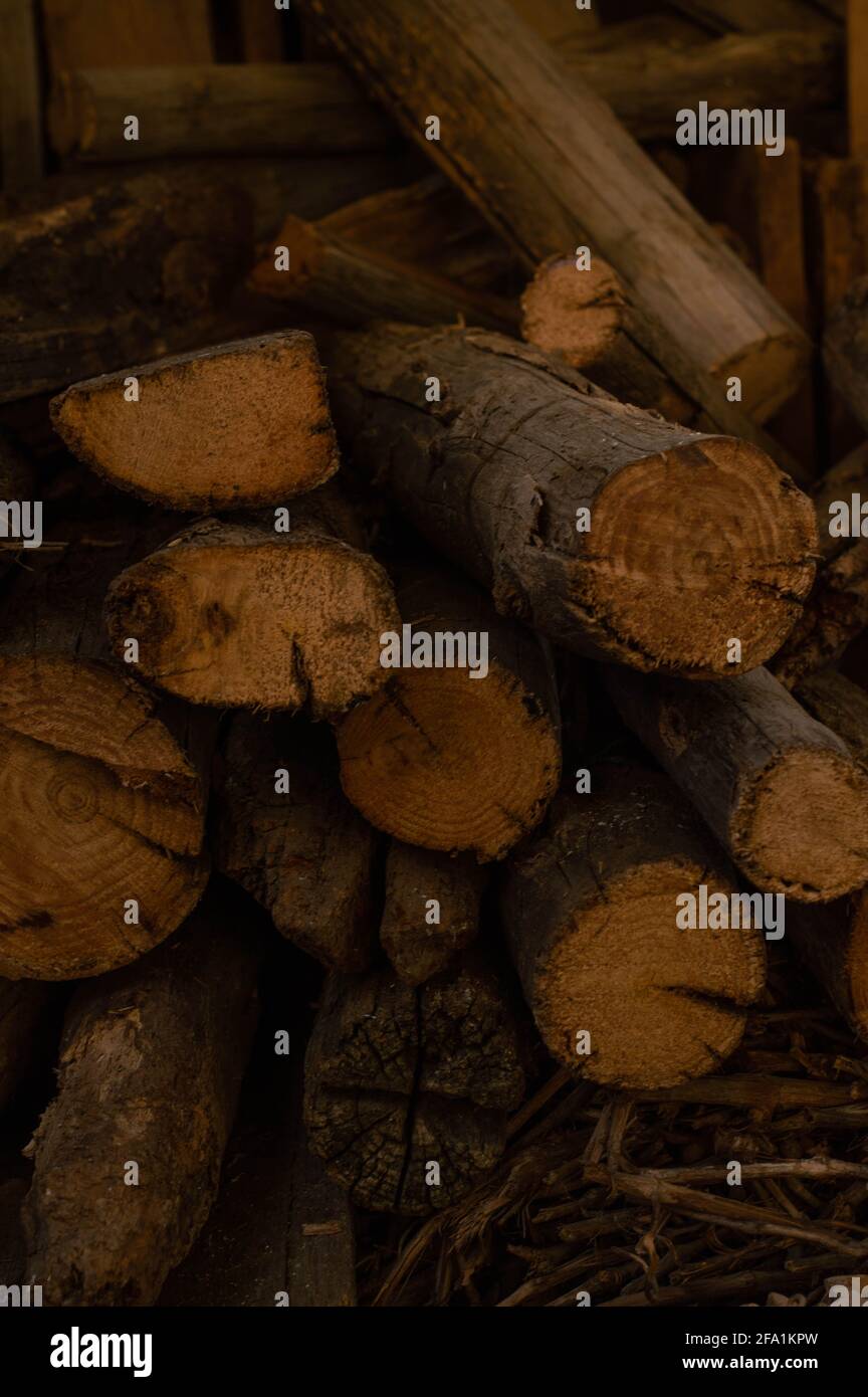 Gestapeltes Feuerholz, viele Holzarten Stockfoto