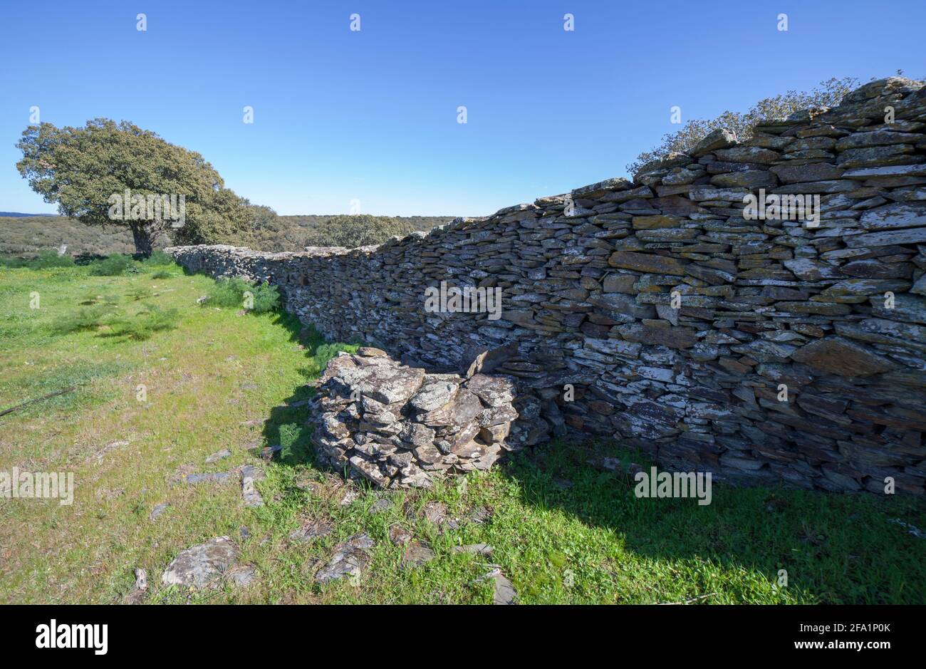 Archäologische Stätte von Tamusia, Botija, Caceres, Extremadura. Hauptwand. Westhispano-keltische Bergfestung der Vettonier Stockfoto