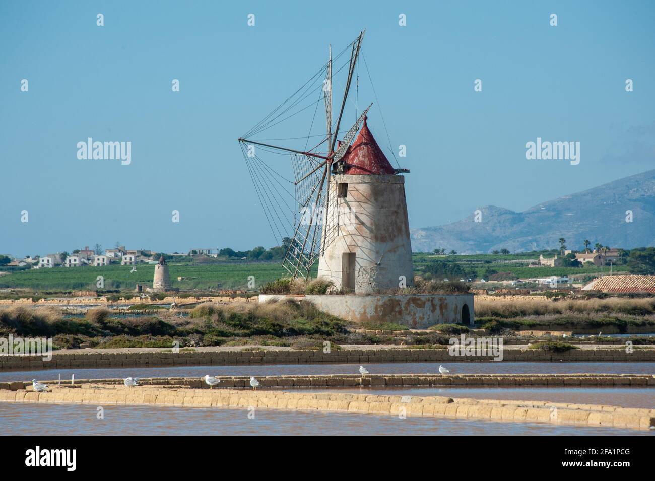 Archäologischer Park von Selinunte in Sizilien Stockfoto