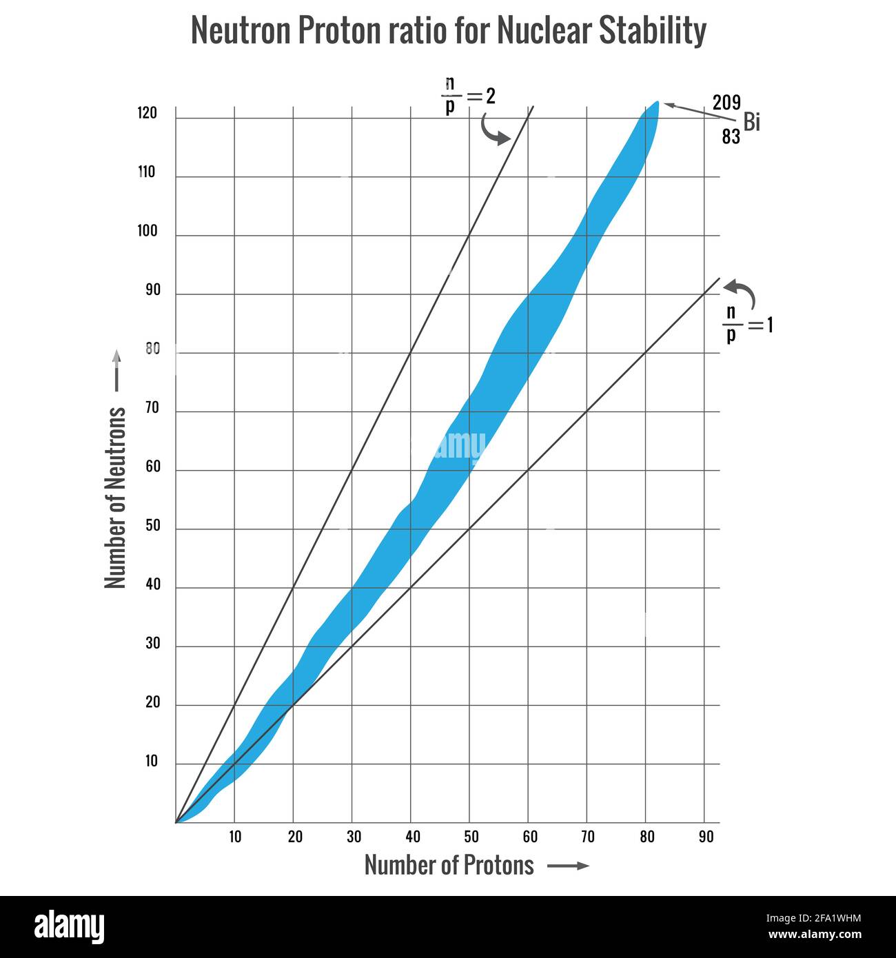Die nukleare Stabilität hängt vom Neutronen-Protonenverhältnis eines Kerns ab. Nukleare Reaktion, d. h. nukleare Fission oder nukleare Fusionsreaktion, hängt auch von Neutron ab Stock Vektor