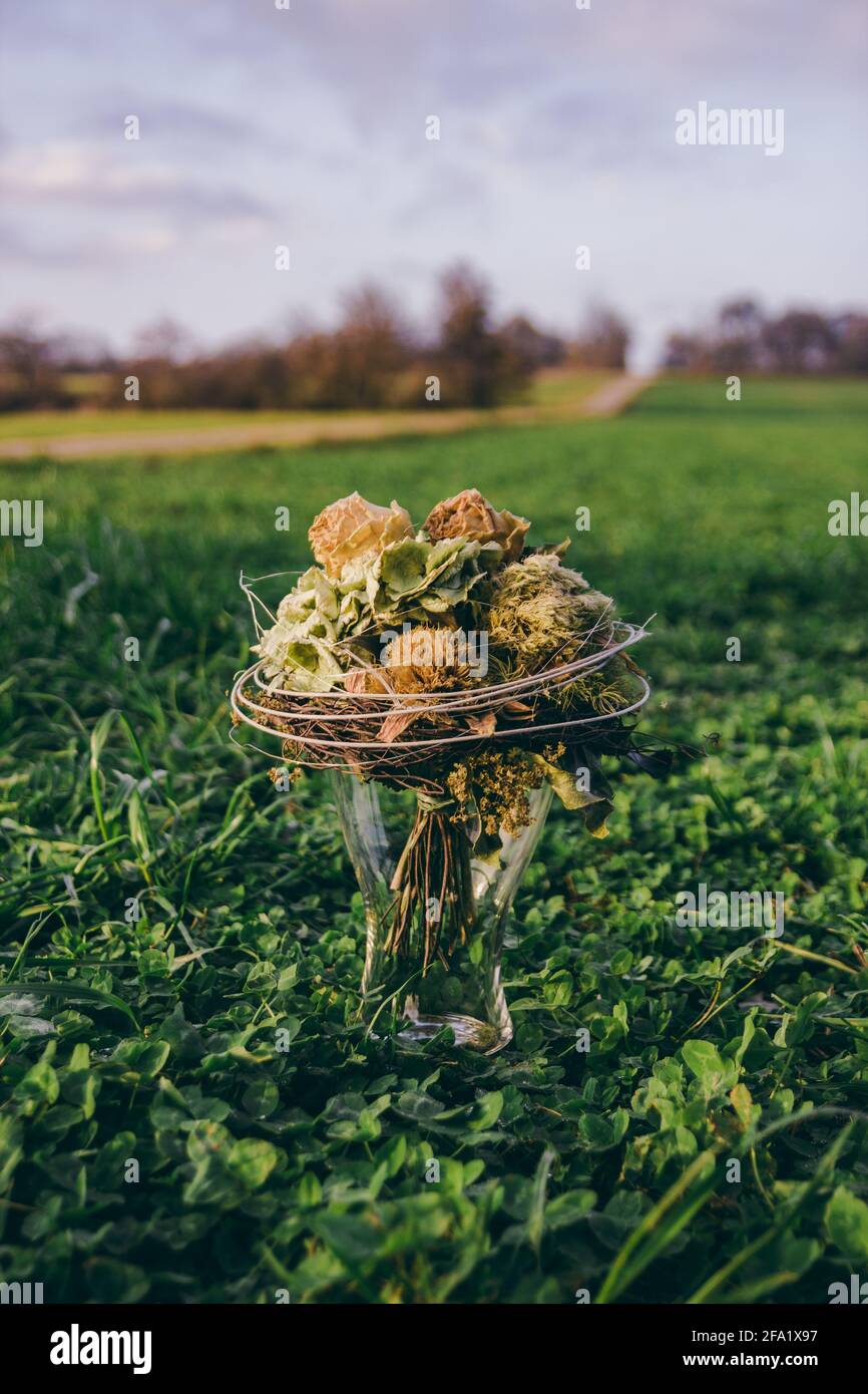 Blumenstrauß (Rosen) in einer Glasvase auf einem Außenfeld in Feldstetten, Deutschland. Blumen werden gebunden und schaffen ein Stillleben während des Sonnenuntergangs. Stockfoto