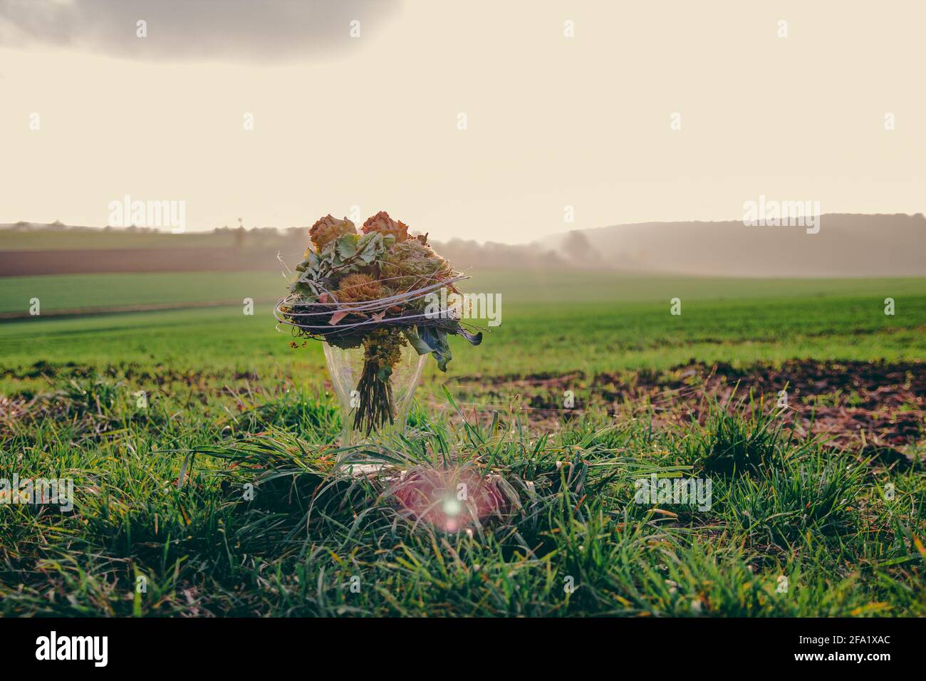 Blumenstrauß (Rosen) in einer Glasvase auf einem Außenfeld in Feldstetten, Deutschland. Blumen werden gebunden und schaffen ein Stillleben während des Sonnenuntergangs. Stockfoto