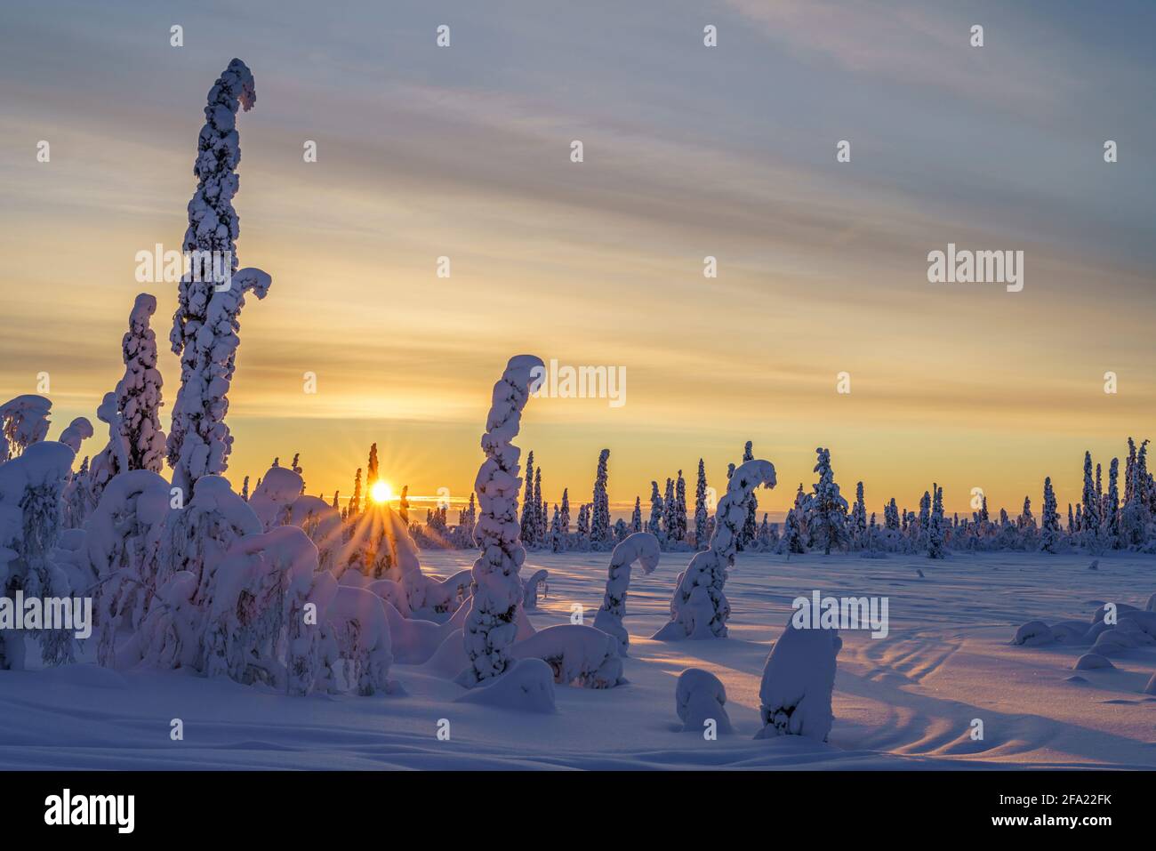 Winterlandschaft bei Sonnenuntergang im direkten Licht mit buntem Himmel und Wolken, viel Schnee auf den Bäumen, Schwedisch Lappland, Schweden Stockfoto