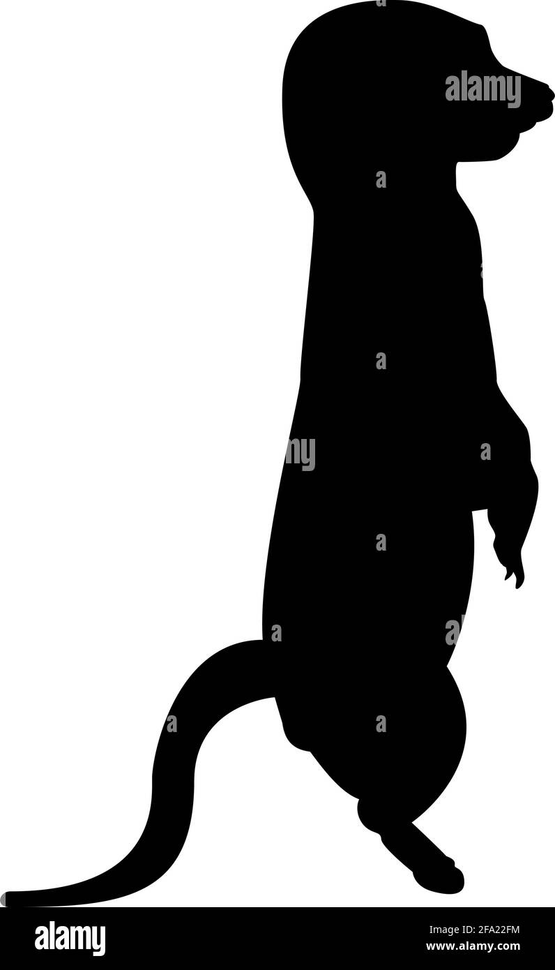 Silhouette Erdmännchen in Pose suricata suricatta schwarz Farbe Vektor Illustration Flaches, einfaches Bild Stock Vektor