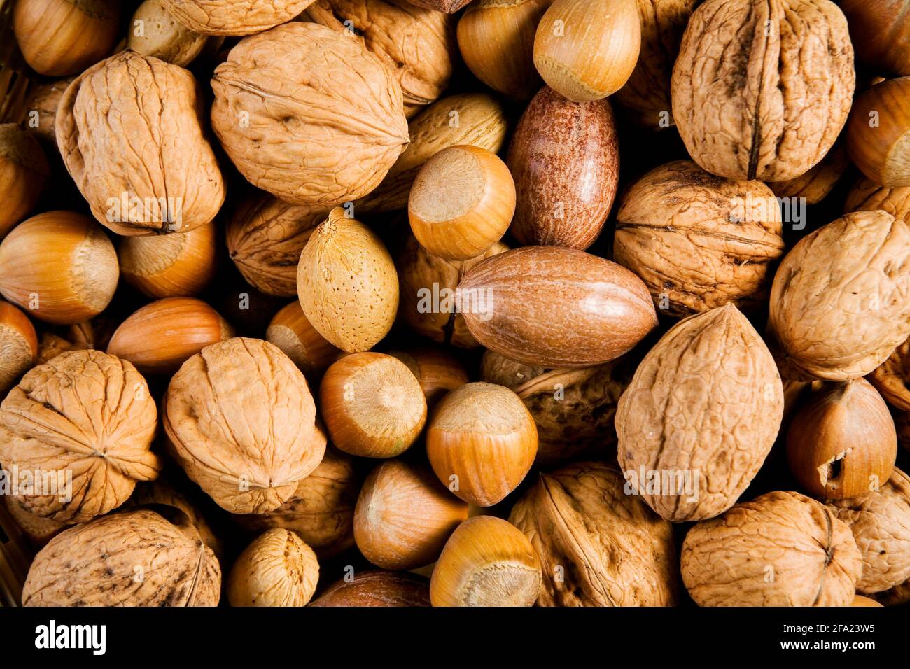 Nussmischung, Haselnüsse, Walnüsse, Mandeln, Pekannüsse Stockfoto