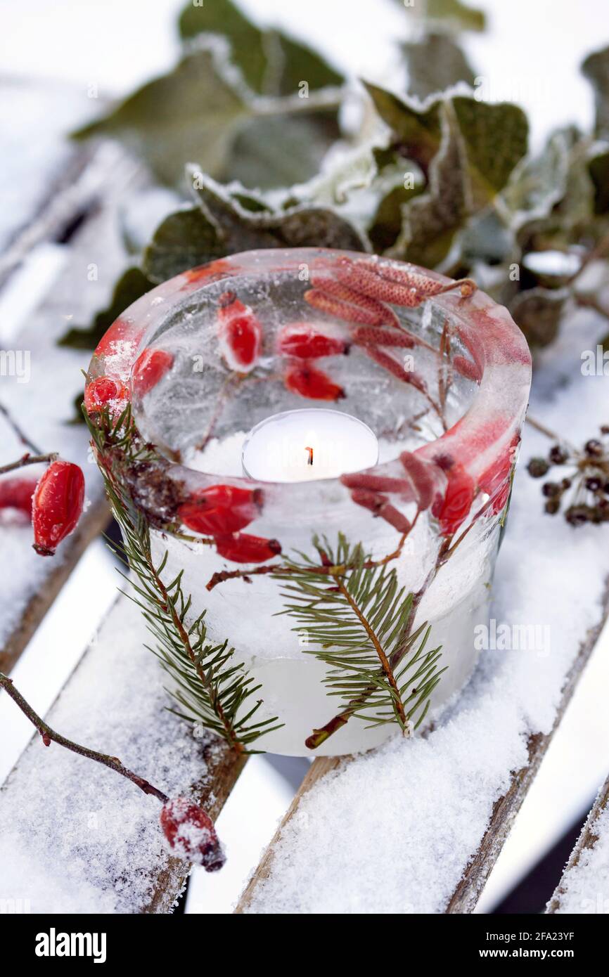 Eislaterne, Kerze brennt in einer Eisschüssel, die mit gefrorenen natürlichen Materialien verziert ist, die im Eis, Deutschland, eingeschlossen sind Stockfoto