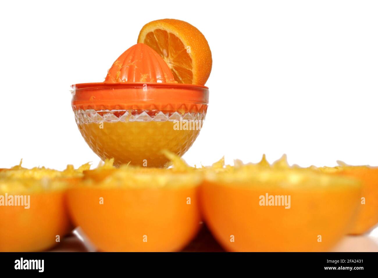 Orange (Citrus sinensis), Orangenpresse Stockfoto