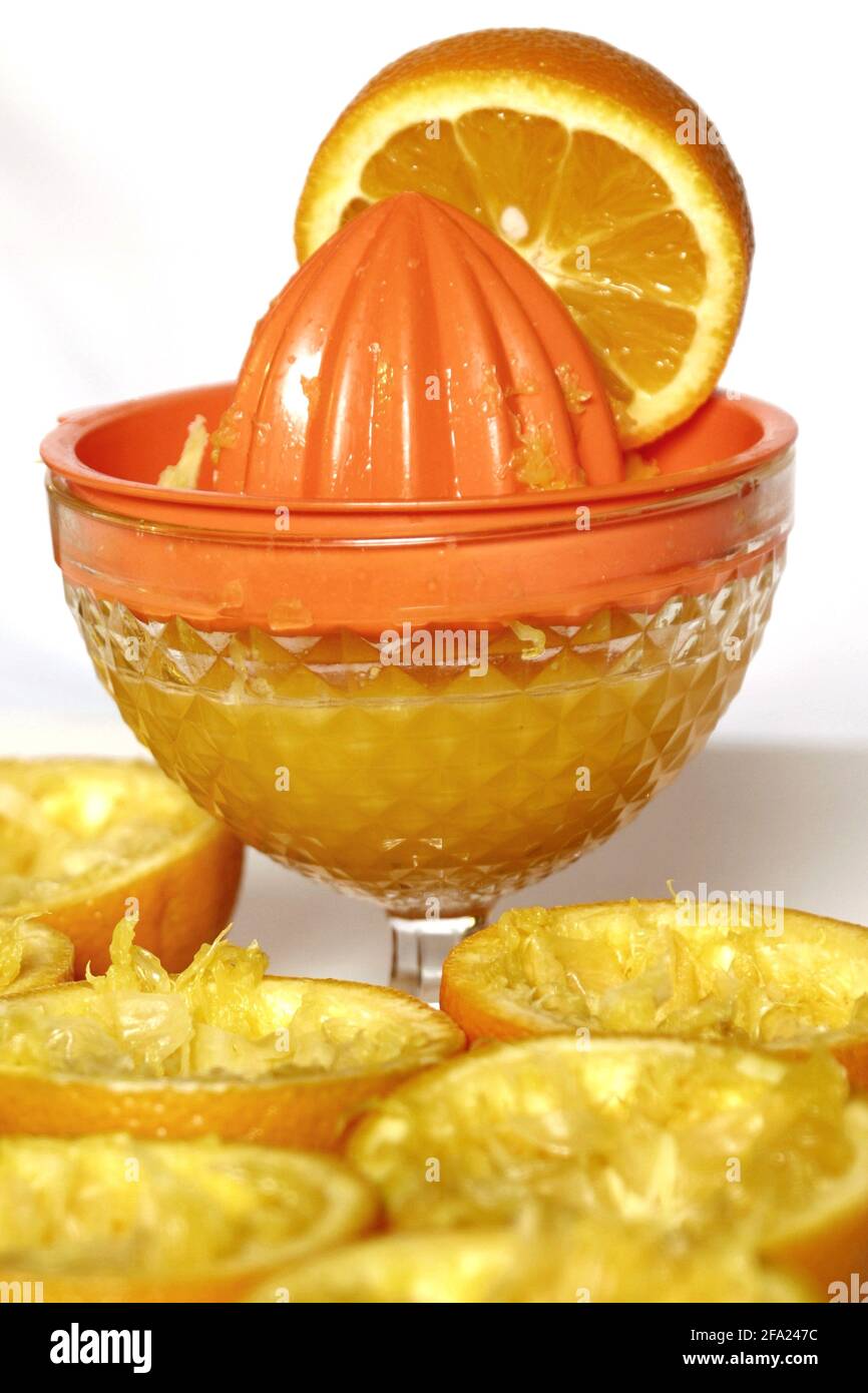 Orange (Citrus sinensis), Orangenpresse Stockfoto