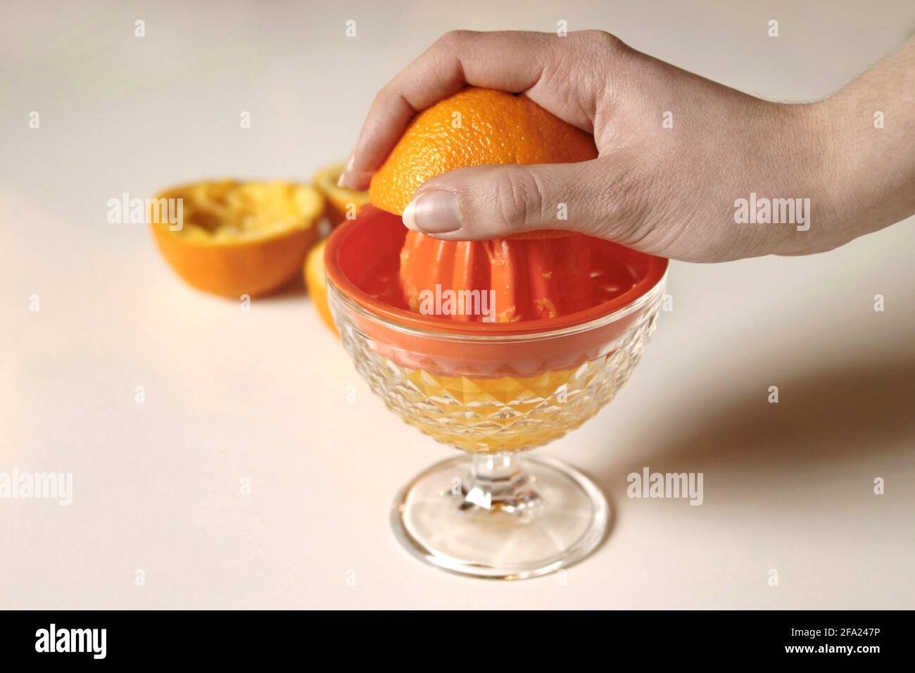 Orange (Citrus sinensis), Orangenpresse Stockfoto