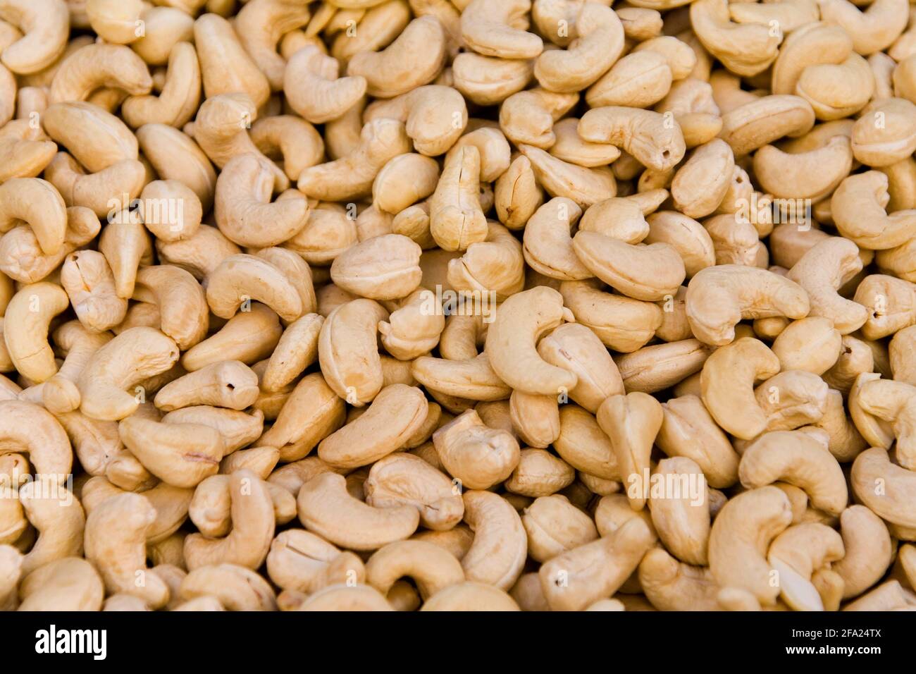 Cashewnuss (Anacardium occidentale), mehrere Cashewnüsse Stockfoto