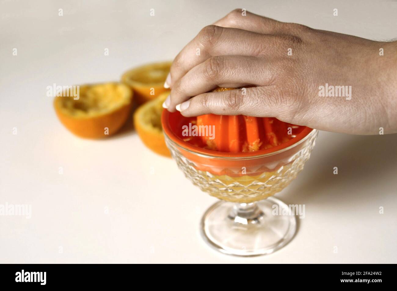 Orange (Citrus sinensis), Orangenpresse Stockfoto