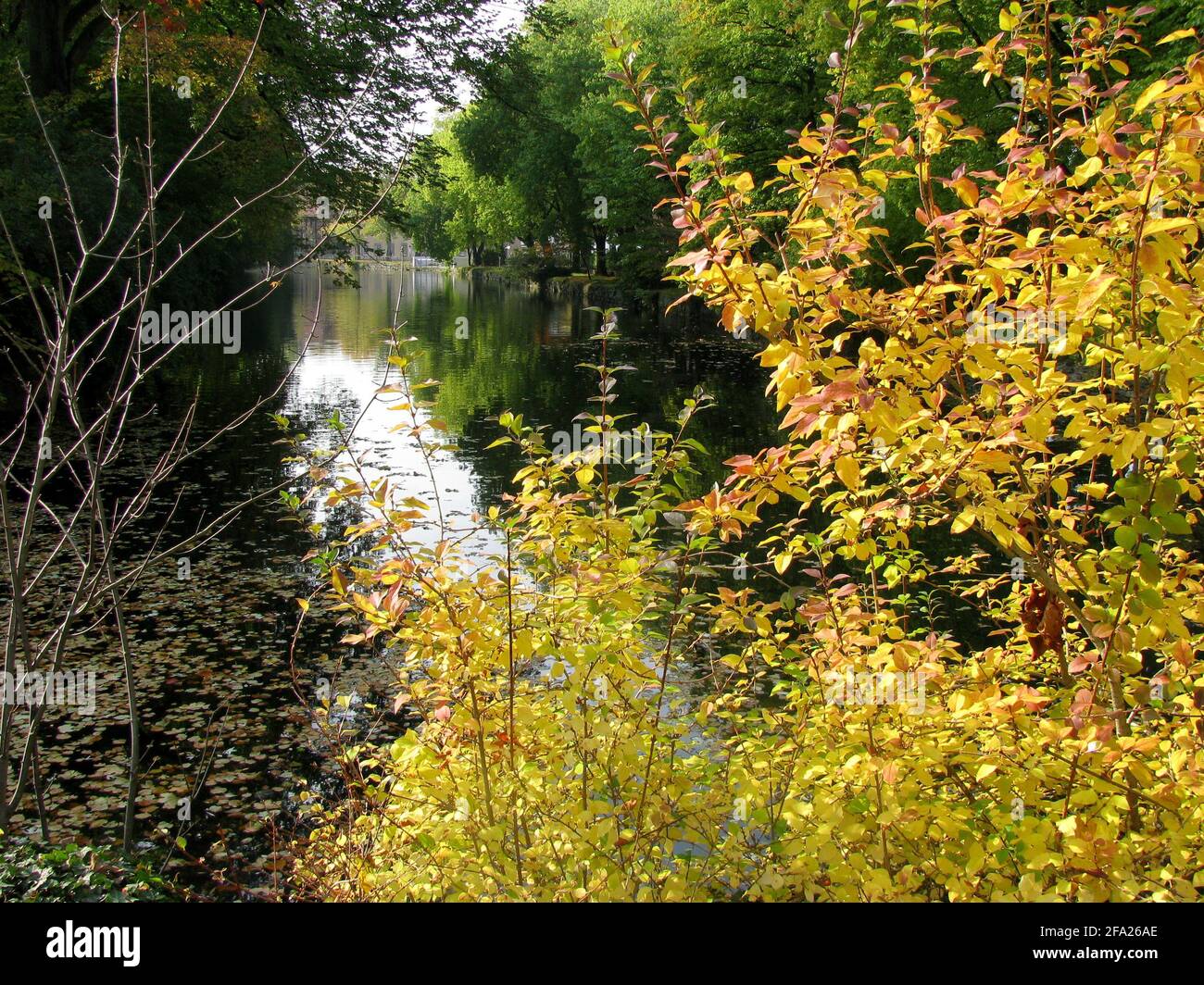 Kleiner Fluss und bunte Pflanzen in Detmold, Deutschland Stockfoto