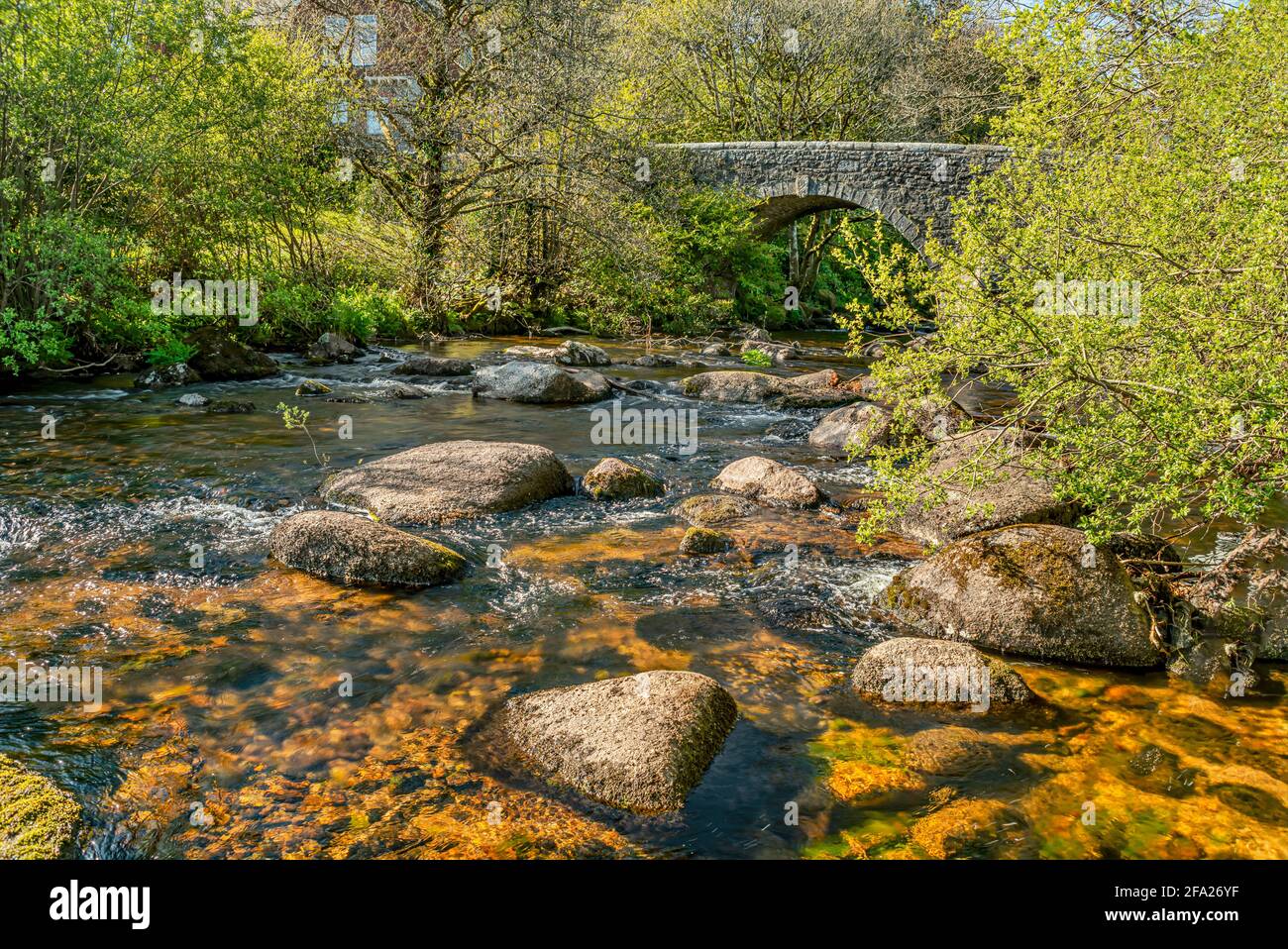 Cherry Brook River an den Schlössern im Dart Valley, Dartmoor National Park, Devon, England, Großbritannien Stockfoto