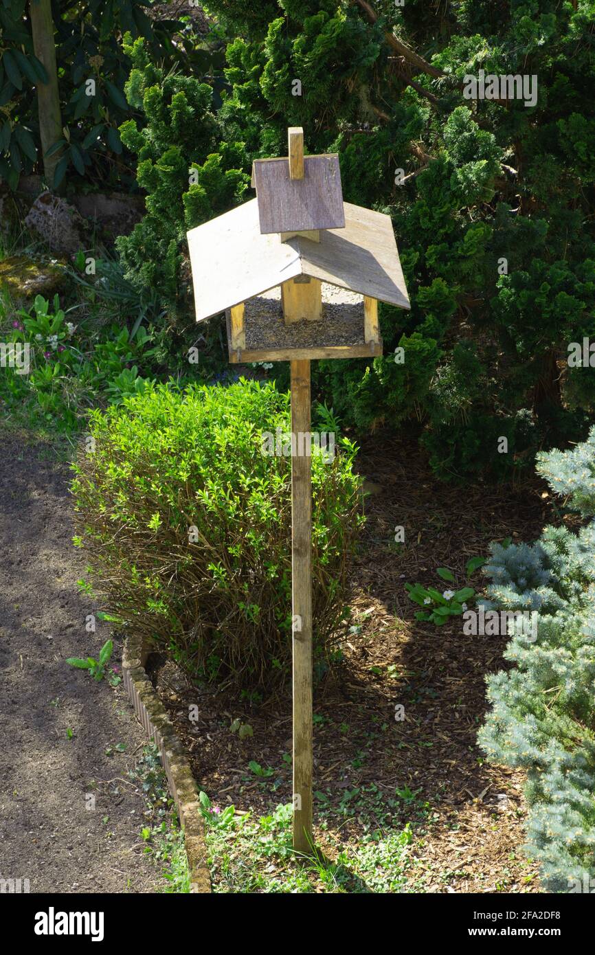 Vogelfutterhäuschen aus Holz mit verschiedenen Futtersorten für Vögel in Der Frühling Stockfoto