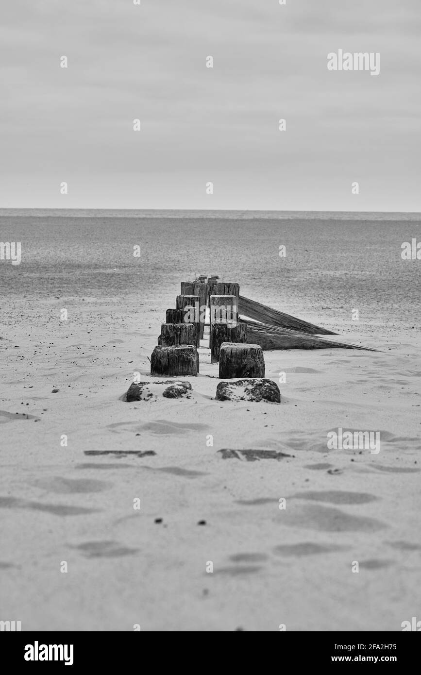Blick in Graustufen auf hölzerne Wellenbrecher am Gorleston Beach, Norfolk Stockfoto