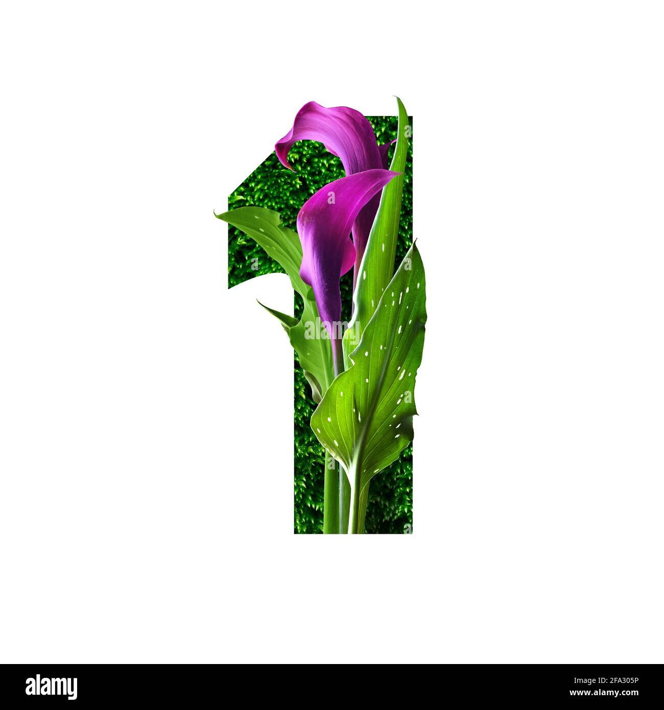 Blumenschrift Alphabet Nummer eins, aus echten Blumen. Sammlung von brillanten Flora Schriftart für Ihre einzigartige Dekoration im Frühjahr, Sommer, Hochzeit invita Stockfoto