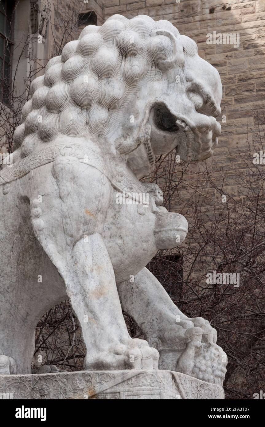 Royal Ontario Museum (Toronto) - chinesischer Schutzlöwe - in Profilnähe, linke Seite Stockfoto