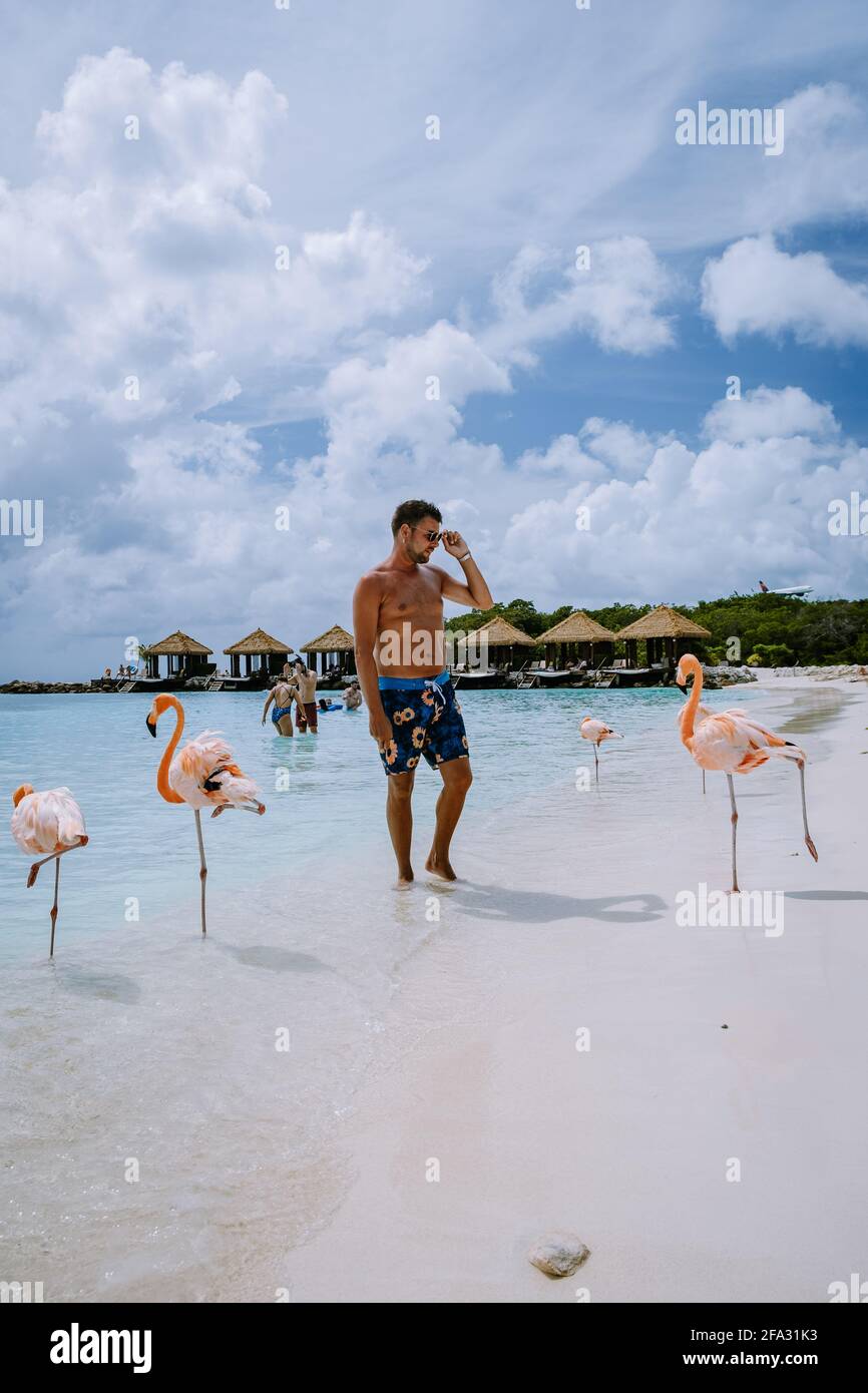 Aruba März 2021 Strand mit rosa Flamingos am Strand, Flamingo am Strand auf der Karibischen Insel Aruba. Ein farbenfroher Flamingo am Strand, Renaissance Island Aruba Stockfoto