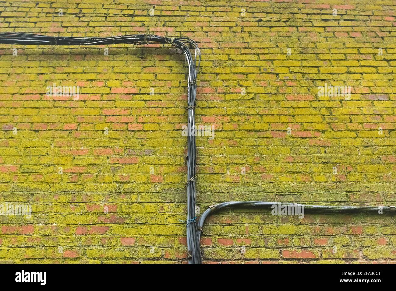 Elektrische Stromkabel auf alten schmutzigen grünen schimmeligen Backsteinwand Fassade Hintergrund Moos Textur. Stockfoto
