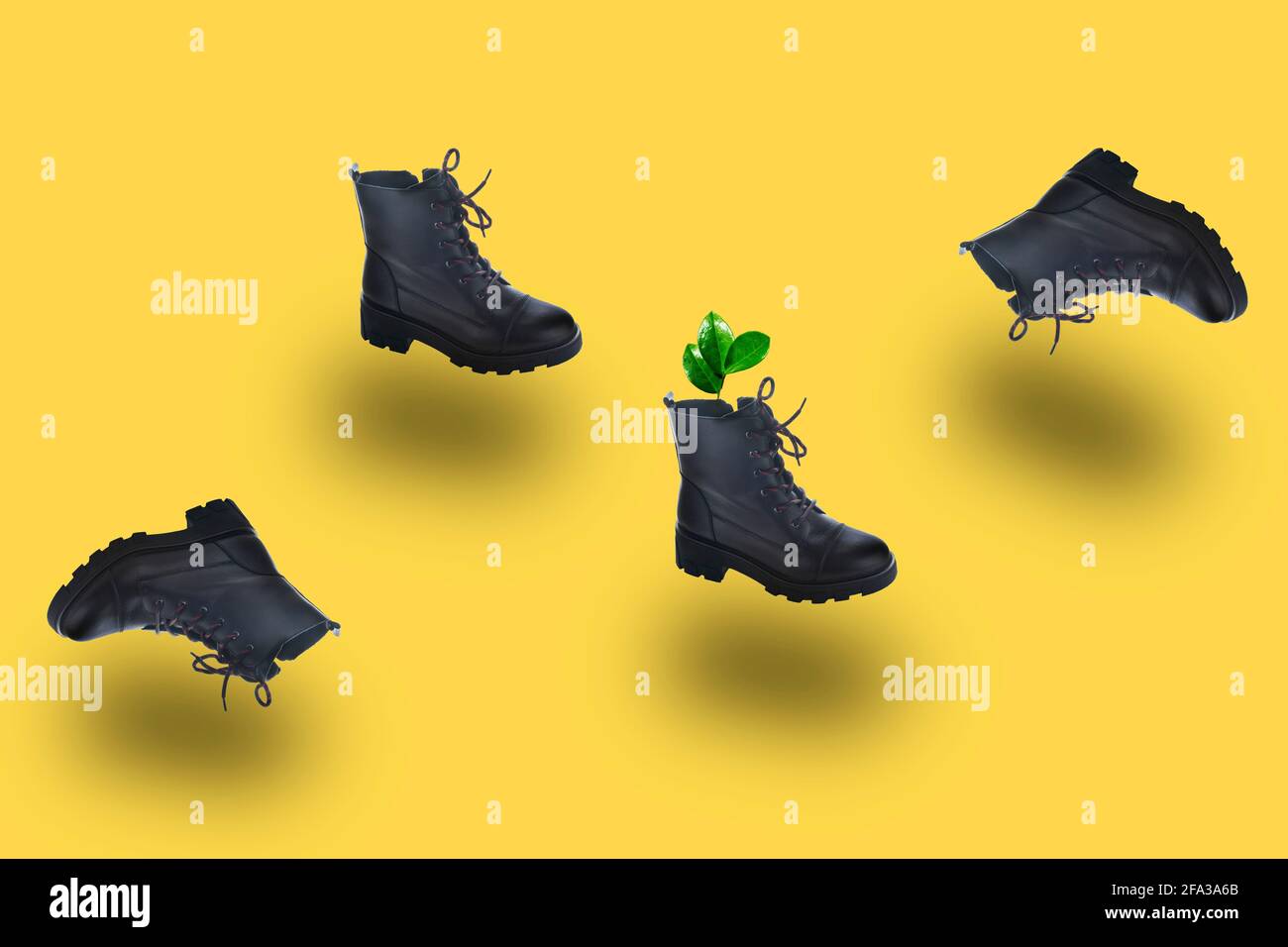 Mode schwarze Stiefel mit Gras in der Luft auf gelbem Hintergrund. Modern stylisch kreativer Minimalismus, Levitation trendige Schuhe, Pflanzenbau, kreativer Drehbank Stockfoto