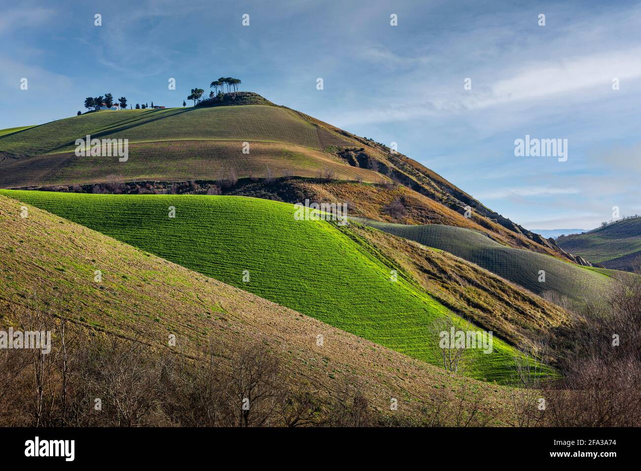 Hügel und kultivierte Felder in einer ländlichen Abruzzen Landschaft. Provinz Pescara, Abruzzen, Italien, Europa Stockfoto