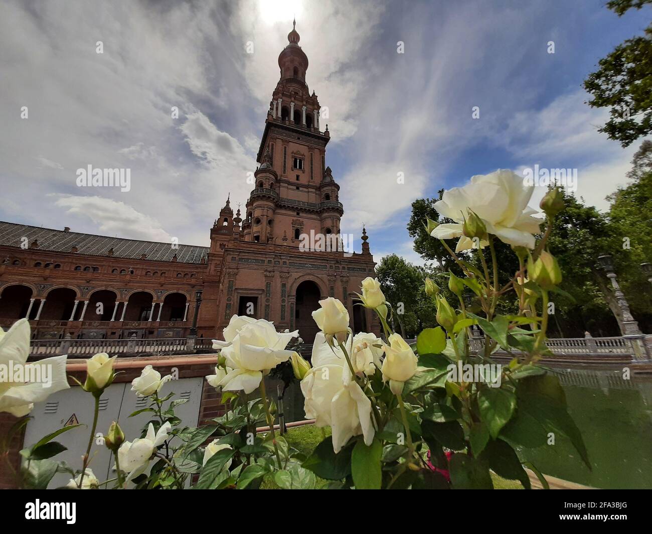 Blumen an der Plaza de España, Sevilla Stockfoto