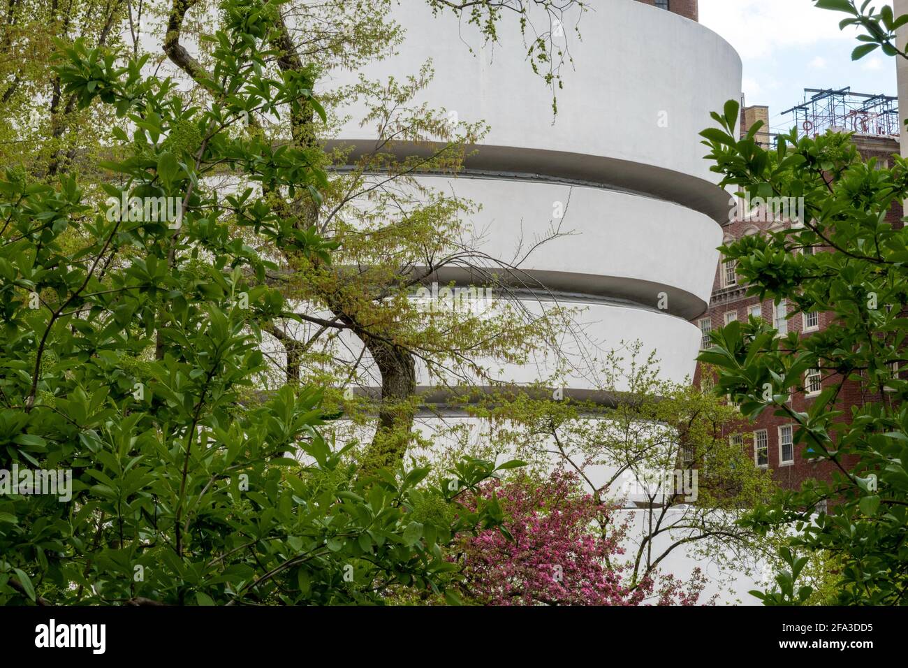 Guggenheim Museum Außen im Frühjahr als vom Central Park, NYC gesehen Stockfoto