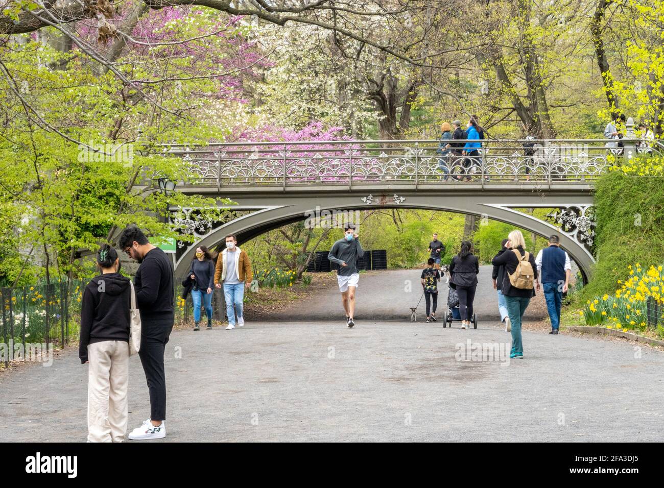 Bridge No. 24 im Central Park ist wunderschön im Frühling, NYC Stockfoto