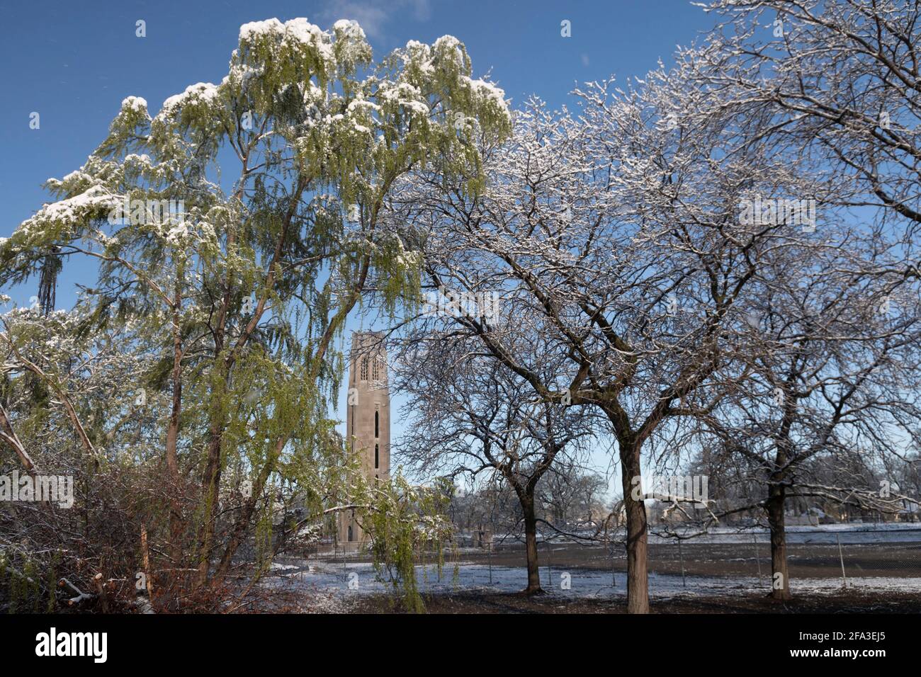 Detroit, Michigan - das Nancy Brown Peace Carillon auf Belle Isle, einem Inselpark im Detroit River, nach einem Frühjahrsschnee. Stockfoto