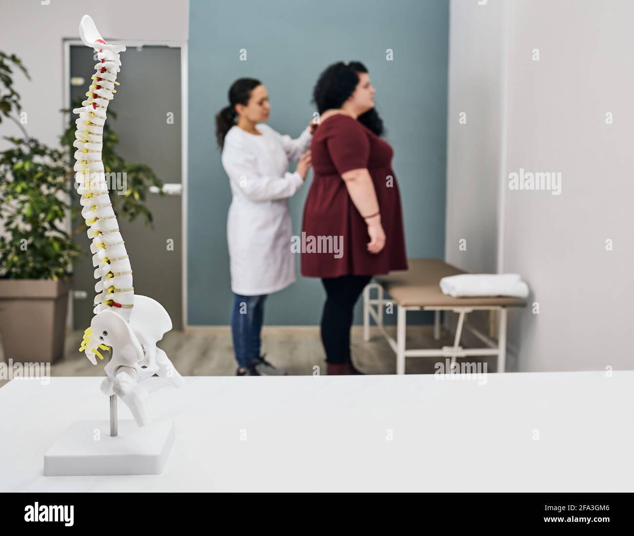 Protrusion und Bandscheibenvorfall bei adipösen Menschen. Der Arzt untersucht die Wirbelsäule einer übergewichtigen Patientin Stockfoto