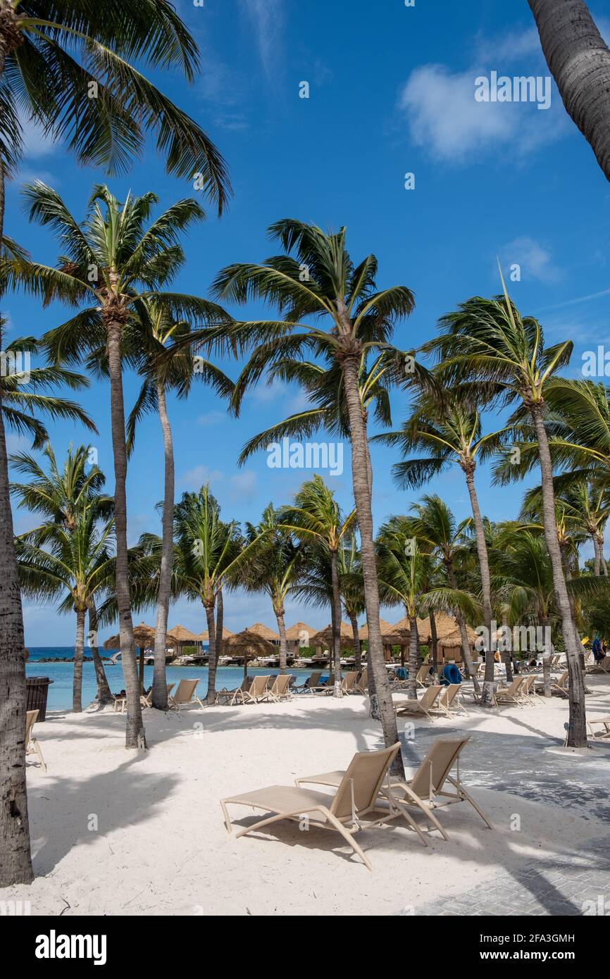 Aruba März 2021 Strand mit rosa Flamingos am Strand, , Renaissance Island Aruba Stockfoto